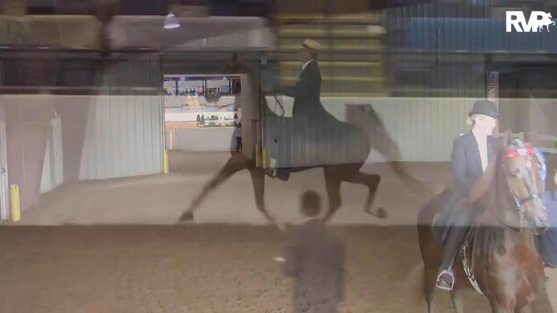BB16 - National Adult Three Gaited Country Pleasure 41 & Over