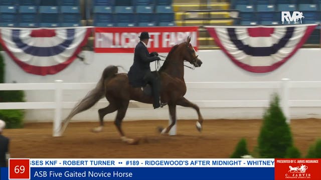 SC21 - Class 69 - ASB Five Gaited Nov...