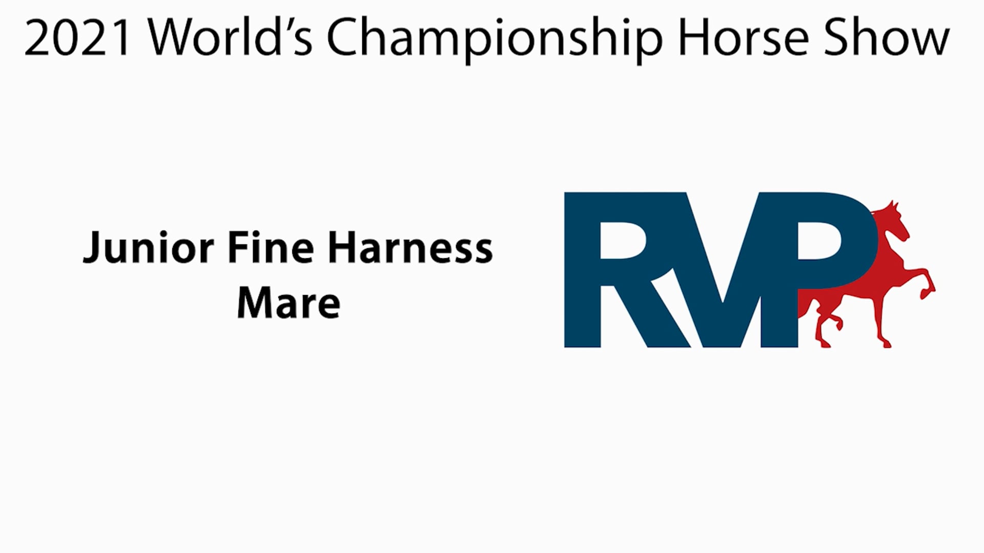 WCHS21 - Class 80 - Junior Fine Harness Mare