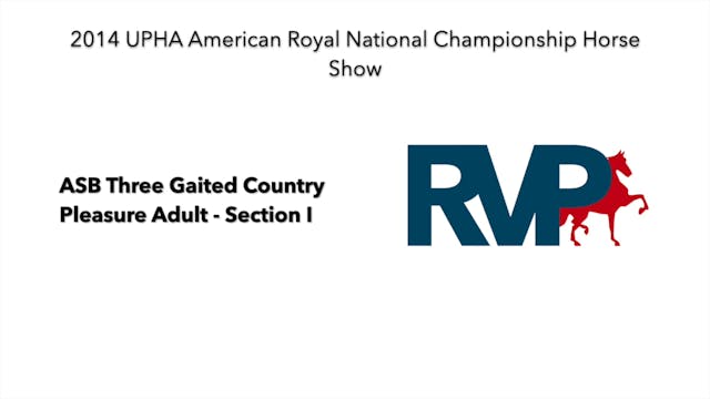 2014 KC - Class 16.1 ASB Three Gaited...