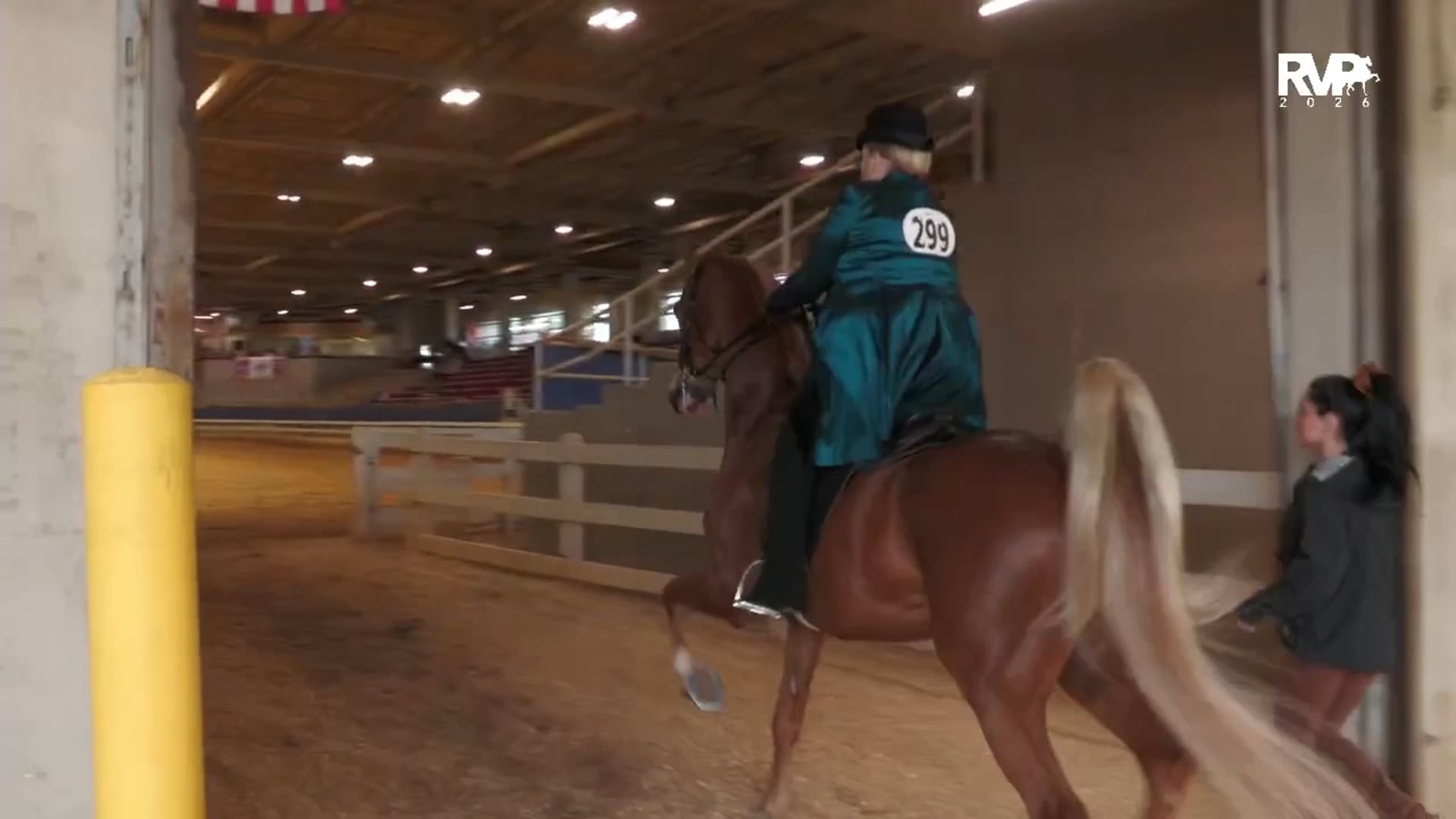 ASC26 - Class 18 - Five Gaited Country Pleasure Adult-Jr Exhibitor