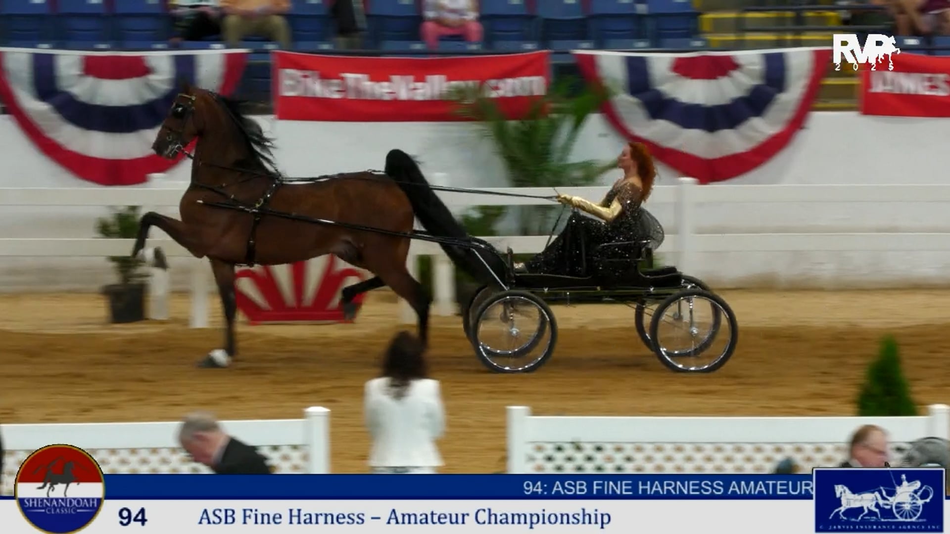 SC25 - Class 94 - ASB Fine Harness Amateur Championship