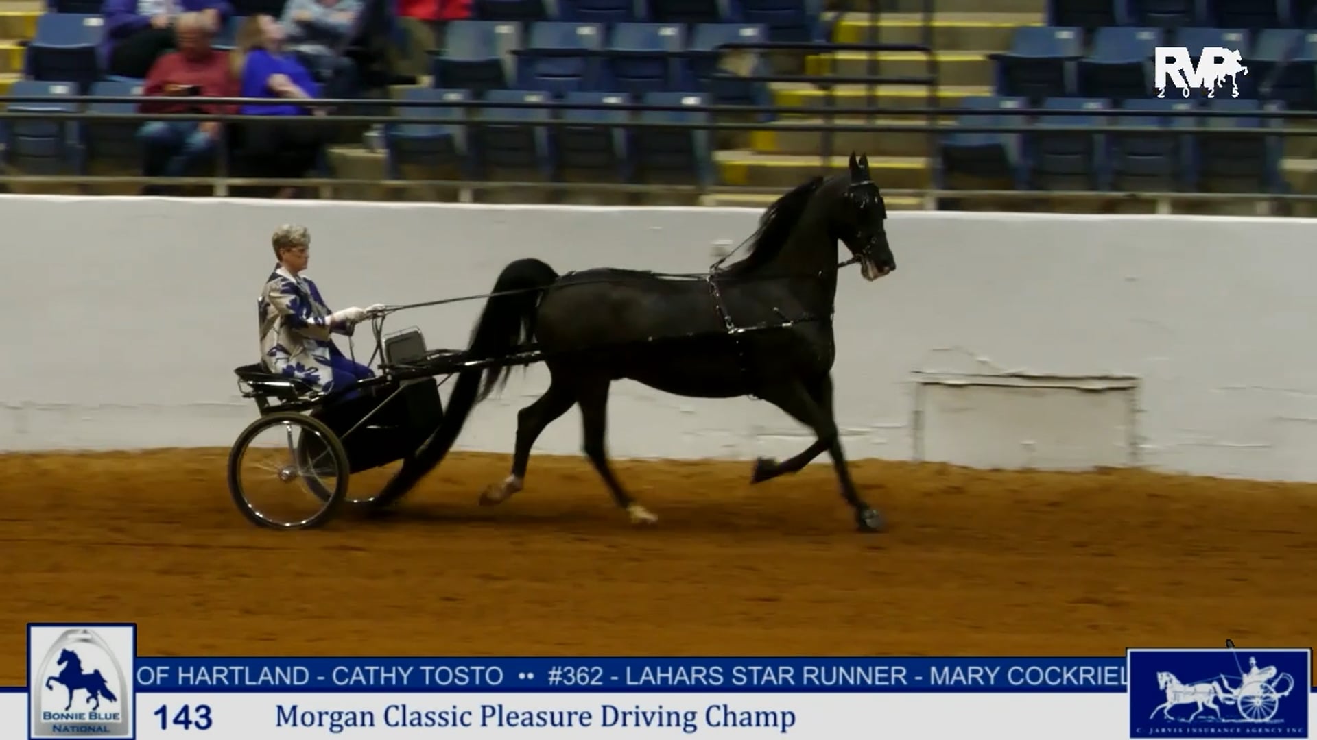 BB25 - Class 143 - Morgan Classic Pleasure Driving Championship