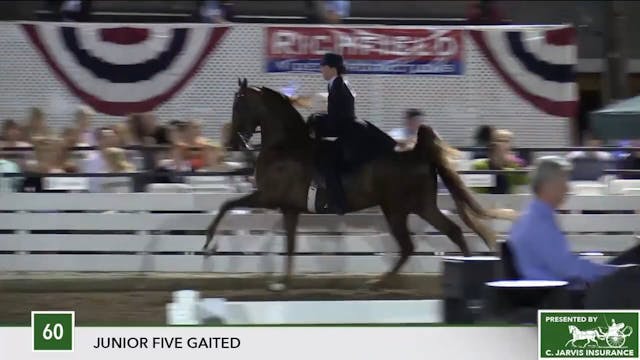 2017 RC - Class 60 Junior Five Gaited  