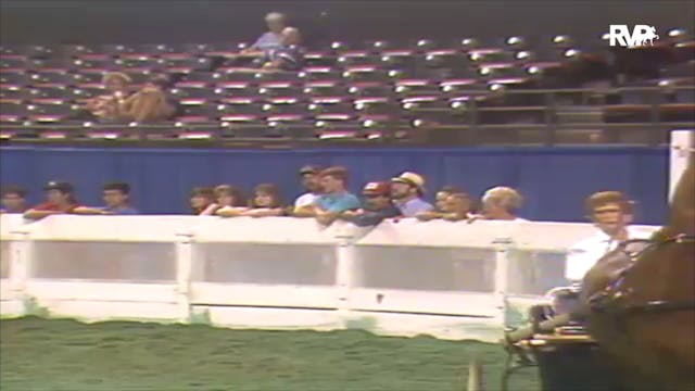 1992 WCHS Class 111 ASB Pleasure Driv...