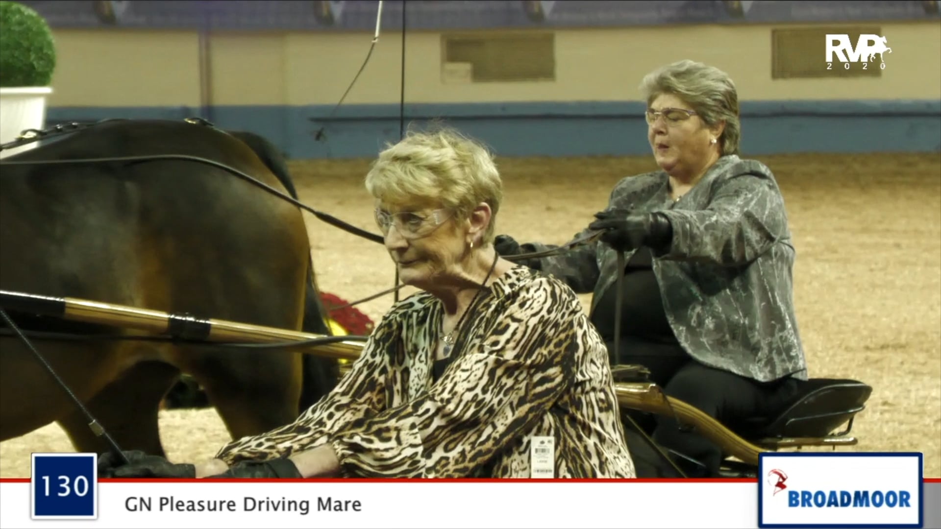 2020 MGN - Class 130 GN Pleasure Driving Mare