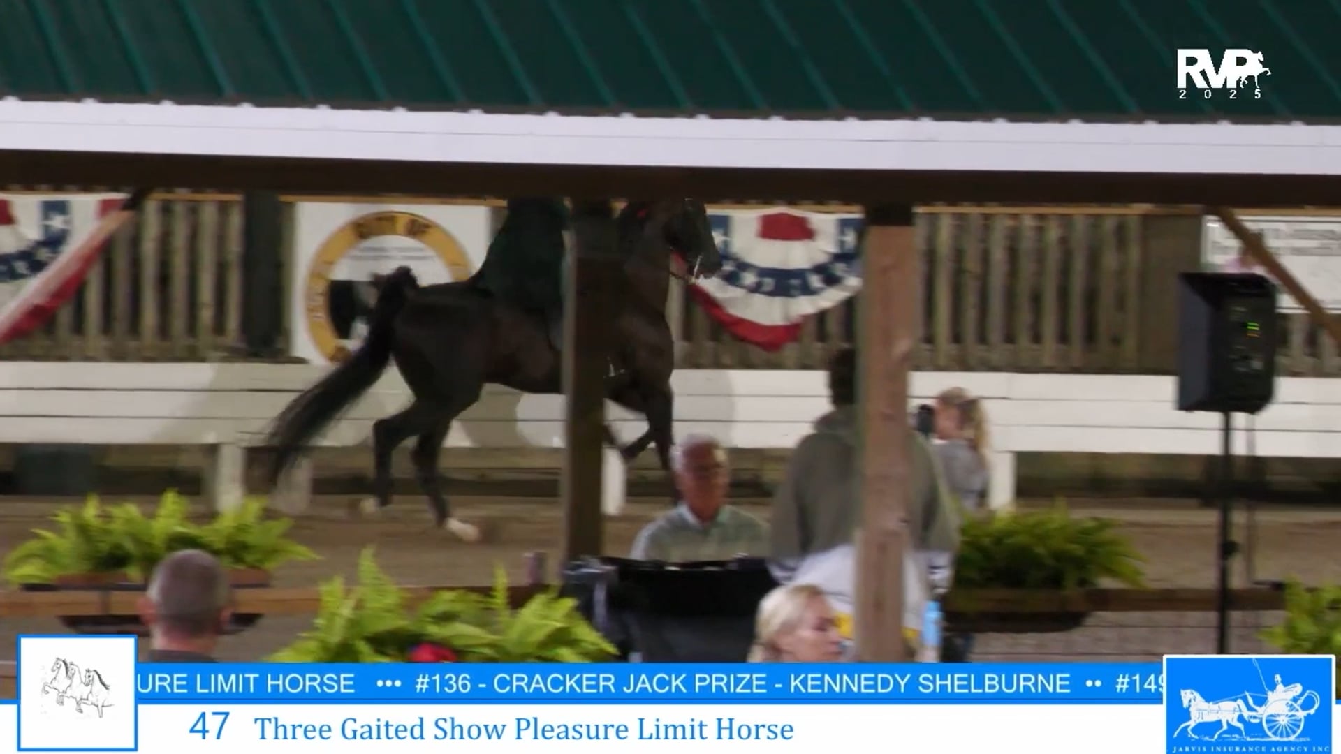 SSC25 - Class 47 - Three Gaited Show Pleasure LImit Horse