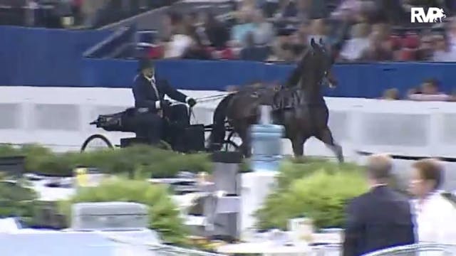 2010 World's Championship Horse Show ...