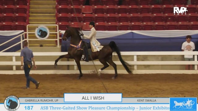 BR24 - Class 187 - ASB Three-Gaited S...