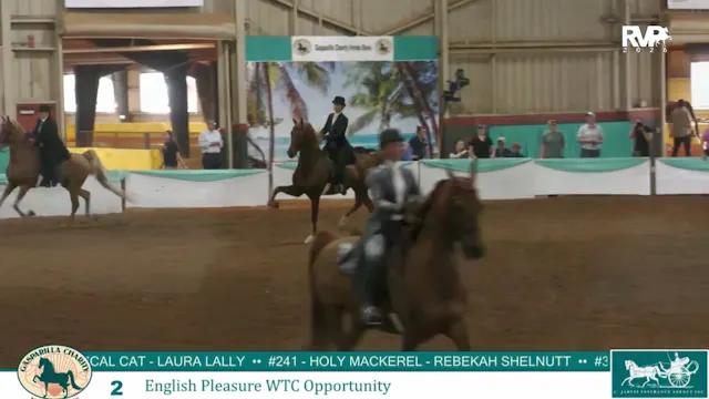 GC26 - Class 2 - English Pleasure WTC...