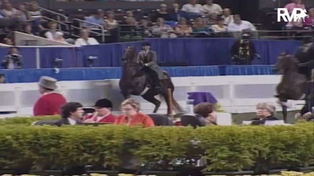 2007 WCHS Class 106 Amateur Five Gait...