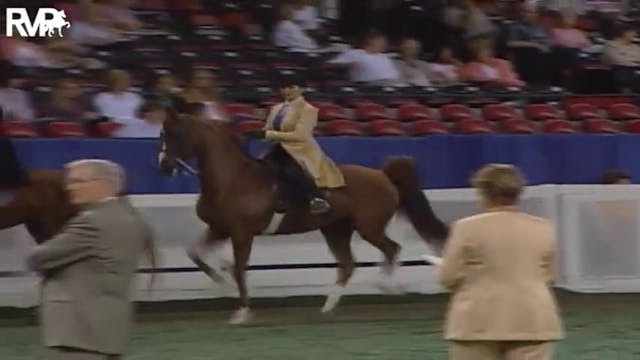 2004 World's Championship Horse Show ...