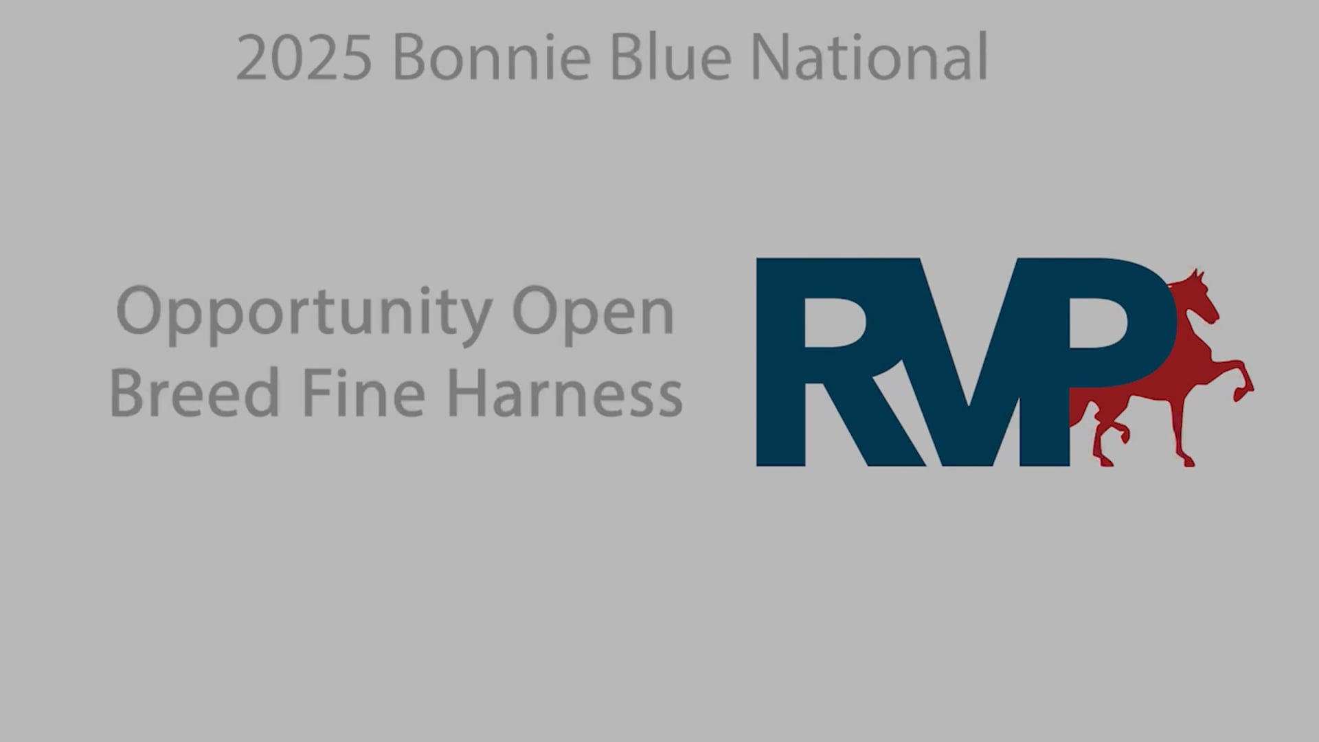 BB25 - Class 56 & 56.1 - Opportunity Open Breed Fine Harness