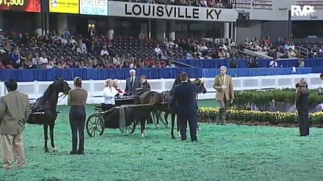 2010 World's Championship Horse Show ...