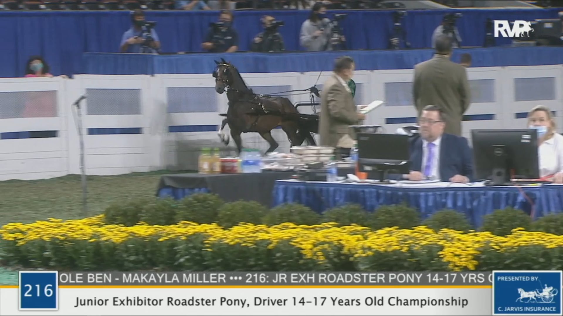 WCHS 2020 Class 216 - Junior Exhibitor Roadster Pony, Driver 14-17 Years Old Championship