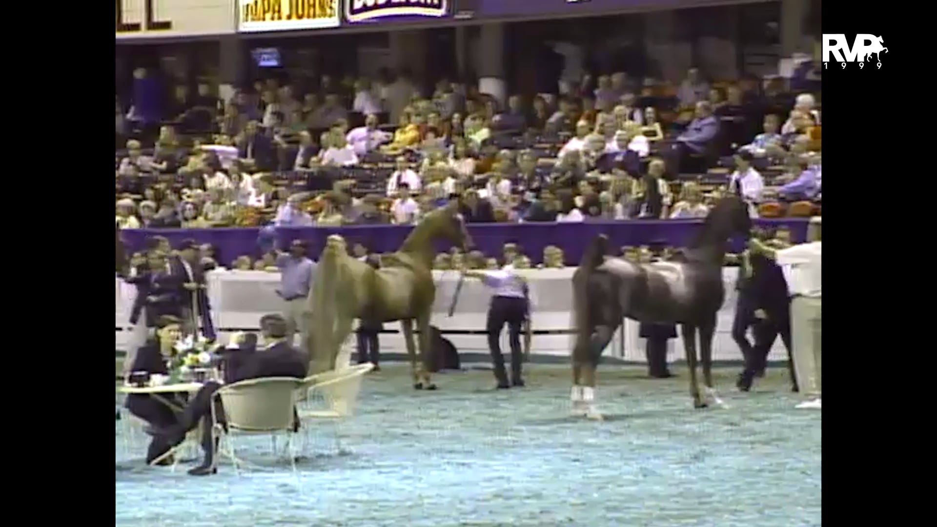1999 WCHS - Class 165 Ladies Three Gaited Championship
