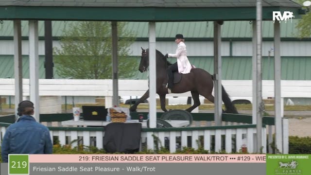 SB21 - Class 219 - Friesian Saddle Se...