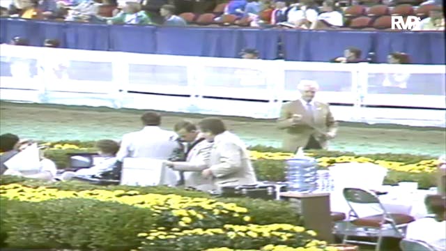 1991 WCHS Class 60 Three Gaited Pony ...