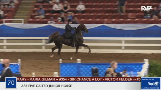 BR20 - Class 70 ASB Five Gaited Junio...