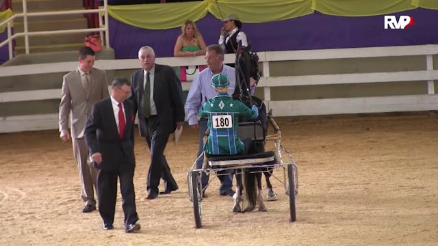 ALCB15 - Roadster Pony Amateur