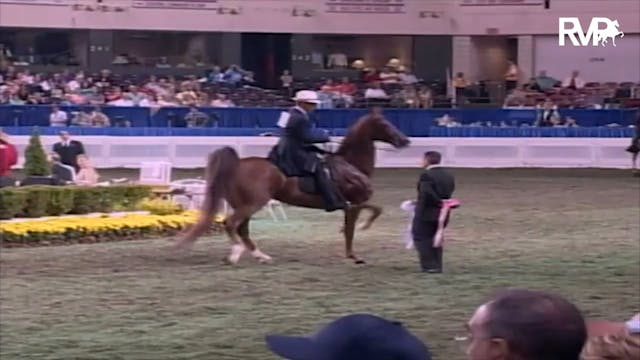 2003 WCHS Class 93 Amateur Three Gait...