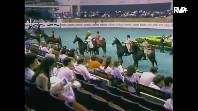 1988 WCHS Class 18 Three Gaited Junio...