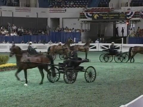 2008 WCHS Class 23 Road Horse To Wagon