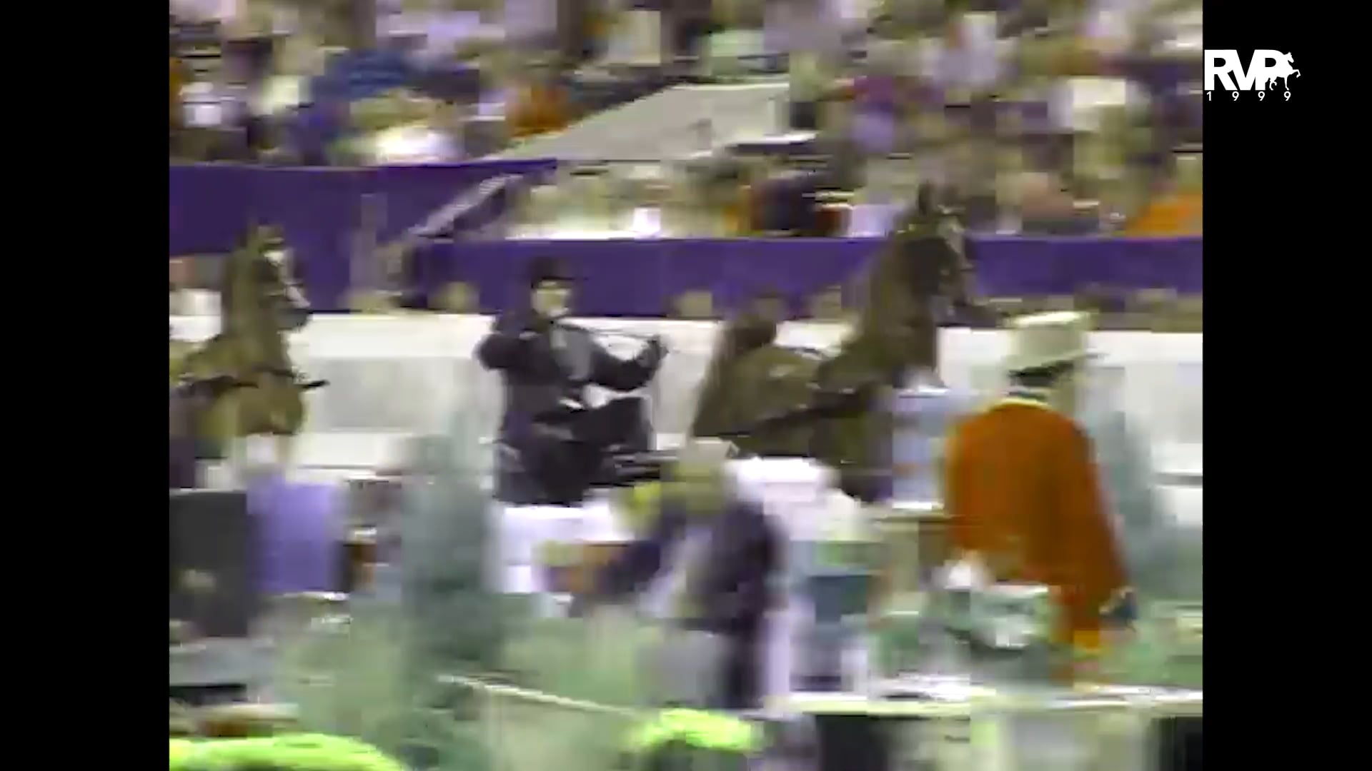 1999 WCHS - Class 147 Fine Harness Mare Stake