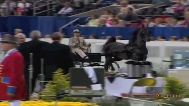2002 WCHS Class 86 Two Year Old Fine ...