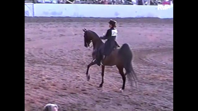 2006 MCF - Class 74 Amateur Three Gai...