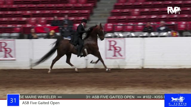 RR22 - Class 31 -  ASB Five Gaited Open
