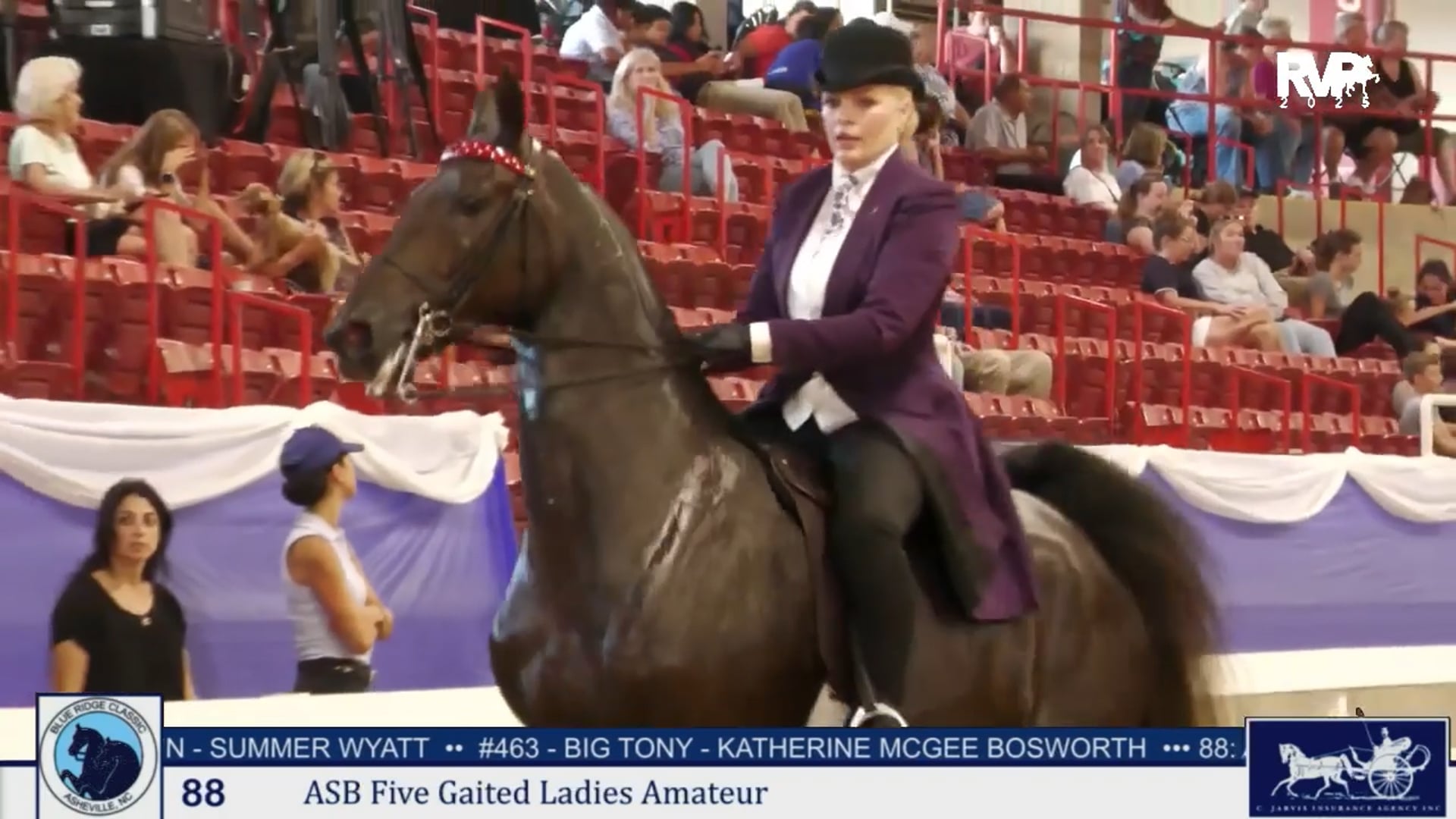 BRC25 - Class 88 - ASB Five Gaited Ladies Amateur