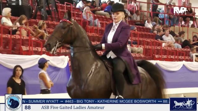 BRC25 - Class 88 - ASB Five Gaited La...
