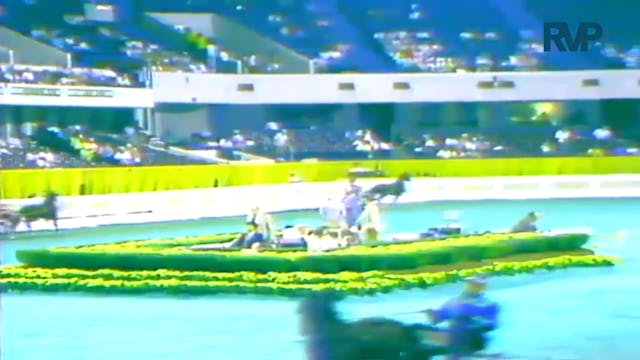 1987 WCHS Class 19 AHHS Futurity 3 Ye...