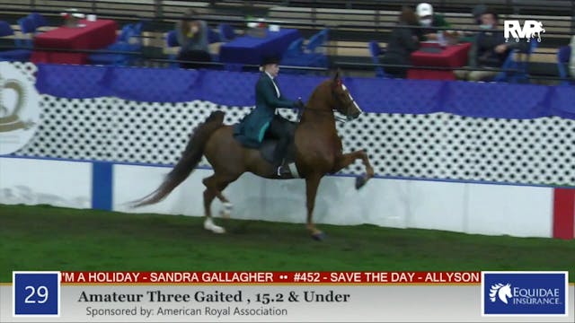 2020 AR - Class 29 Amateur Three Gait...