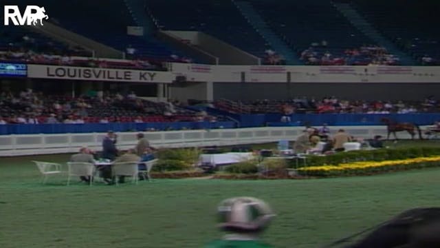 2004 World's Championship Horse Show ...