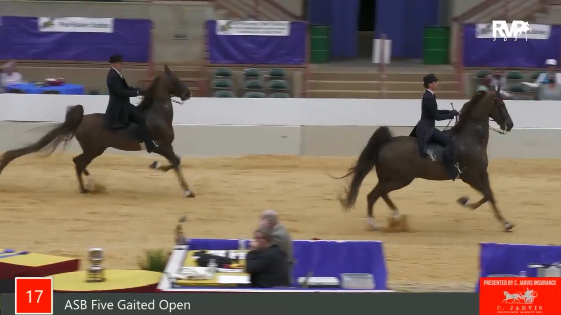 PA21 - Class 17 ASB Five Gaited Open