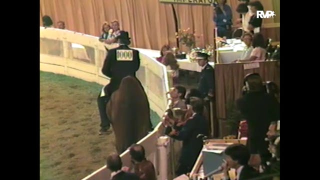 1985 WCHS - Five Gaited Grand Champio...