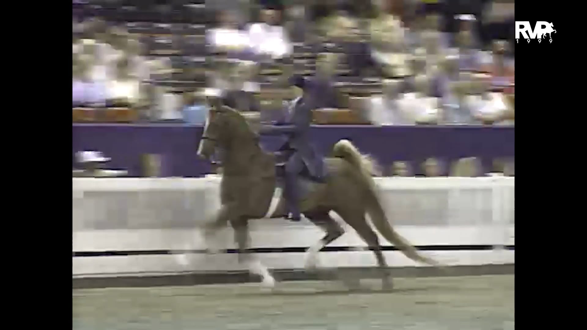 1999 WCHS - Class 148 Ladies Five Gaited Mare Stake