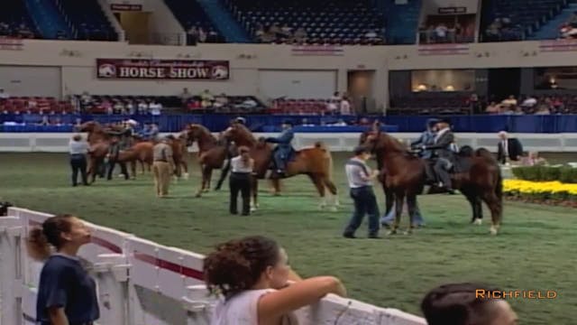 2002 WCHS Class 165 Walk Trot Equitat...