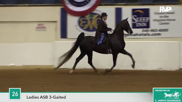 ASHAV17 - Class 26 - Blue Excellence