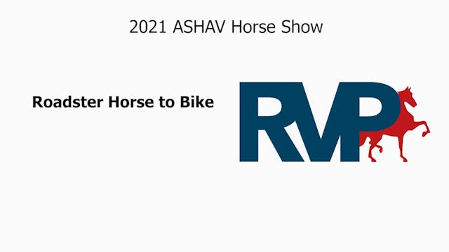 ASHAV21 - Class 11 - Roadster Horse T...