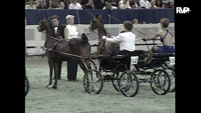 1997 WCHS - Class 147 Amateur Hackney...