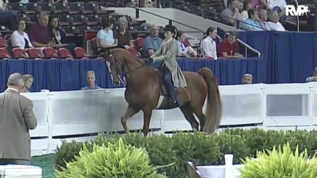 2010 World's Championship Horse Show ...