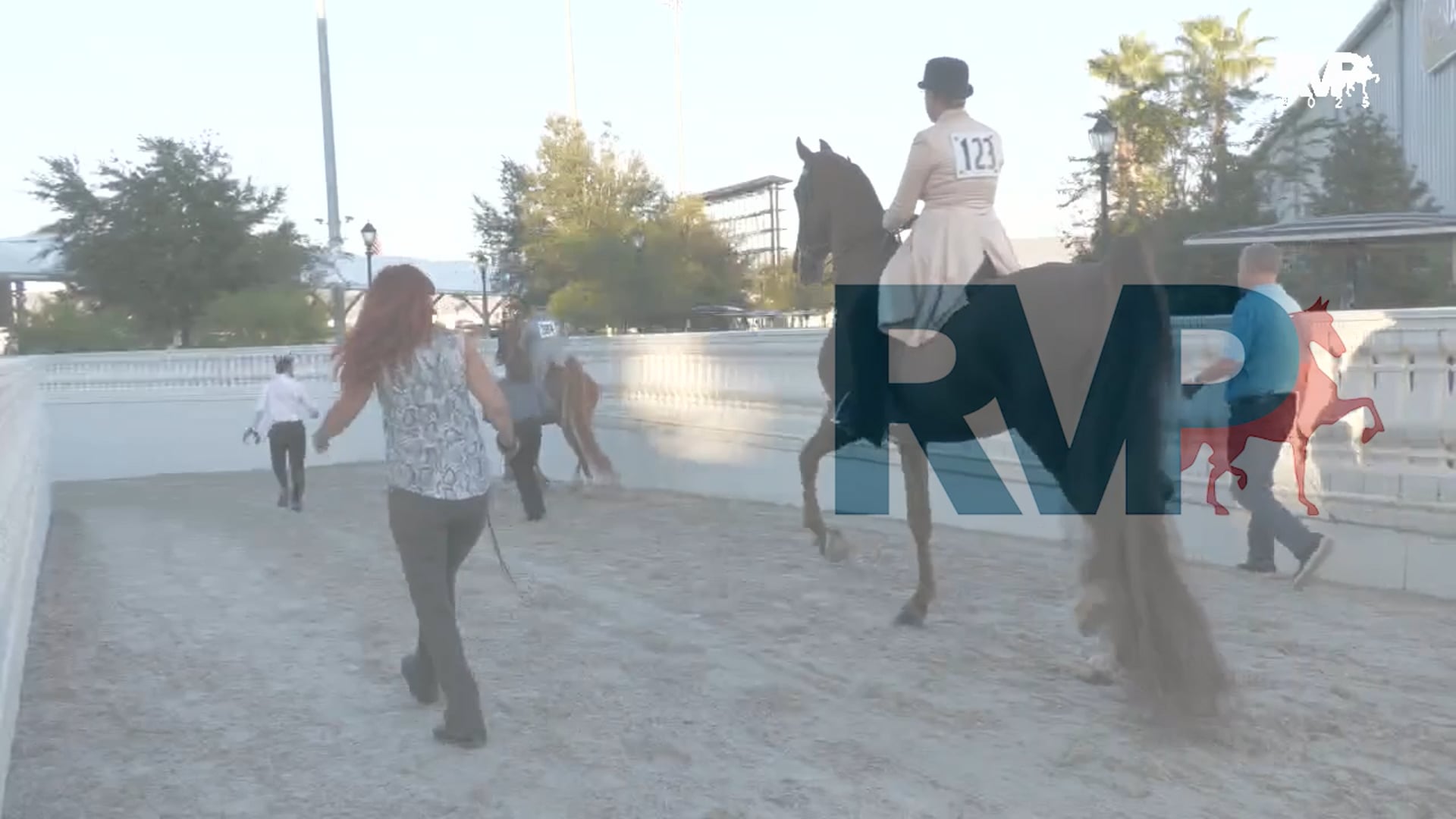 OI25 - Class 15 -  ASB Adult Three Gaited Show Pleasure