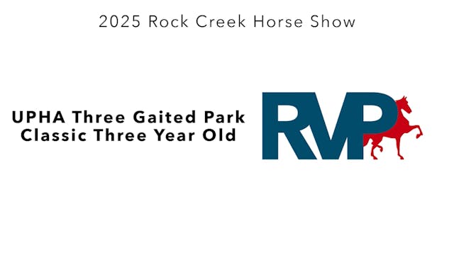 RC25 - Class 60 - UPHA Three Gaited P...