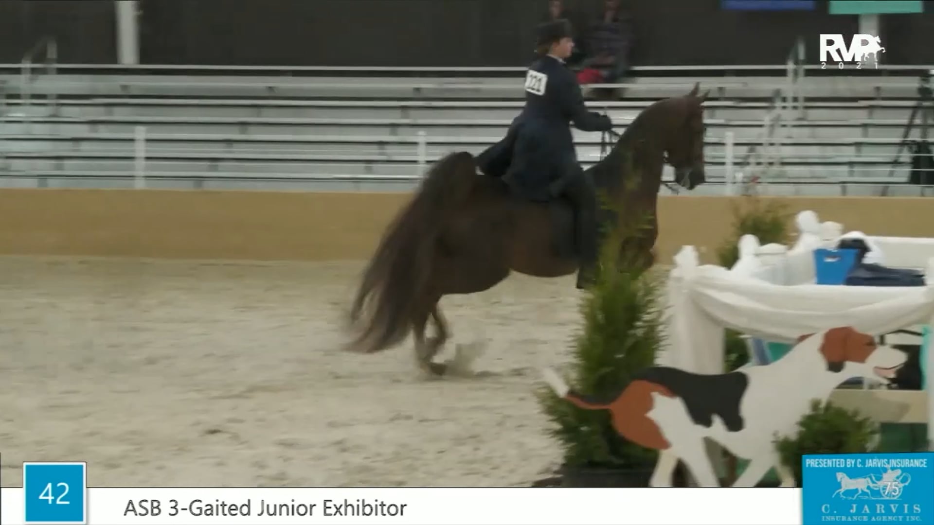 BS21 - Class 42 - ASB Three Gaited Junior Exhibitor