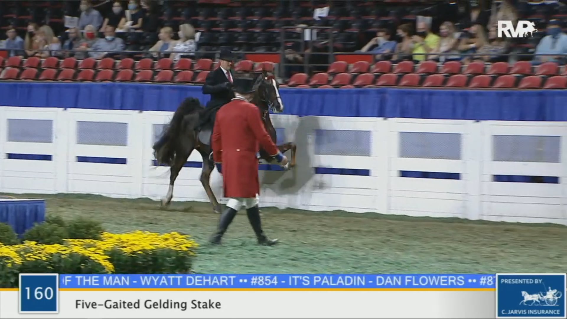 WCHS 2020 Class 160 - Five-Gaited Gelding Stake