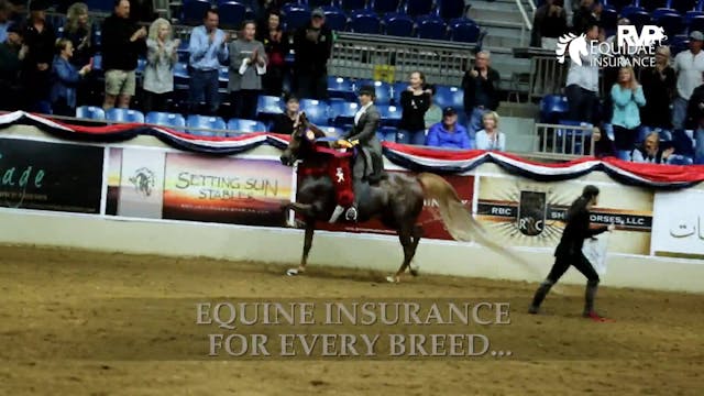 2019 Blue Ridge Classic Horse Show - ...