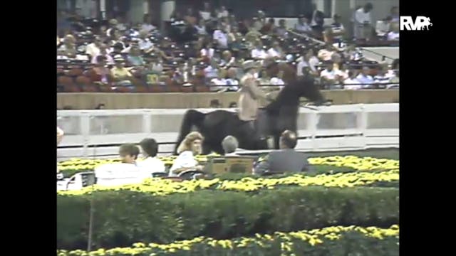 1988 WCHS Class 145 Junior Exhibitor ...